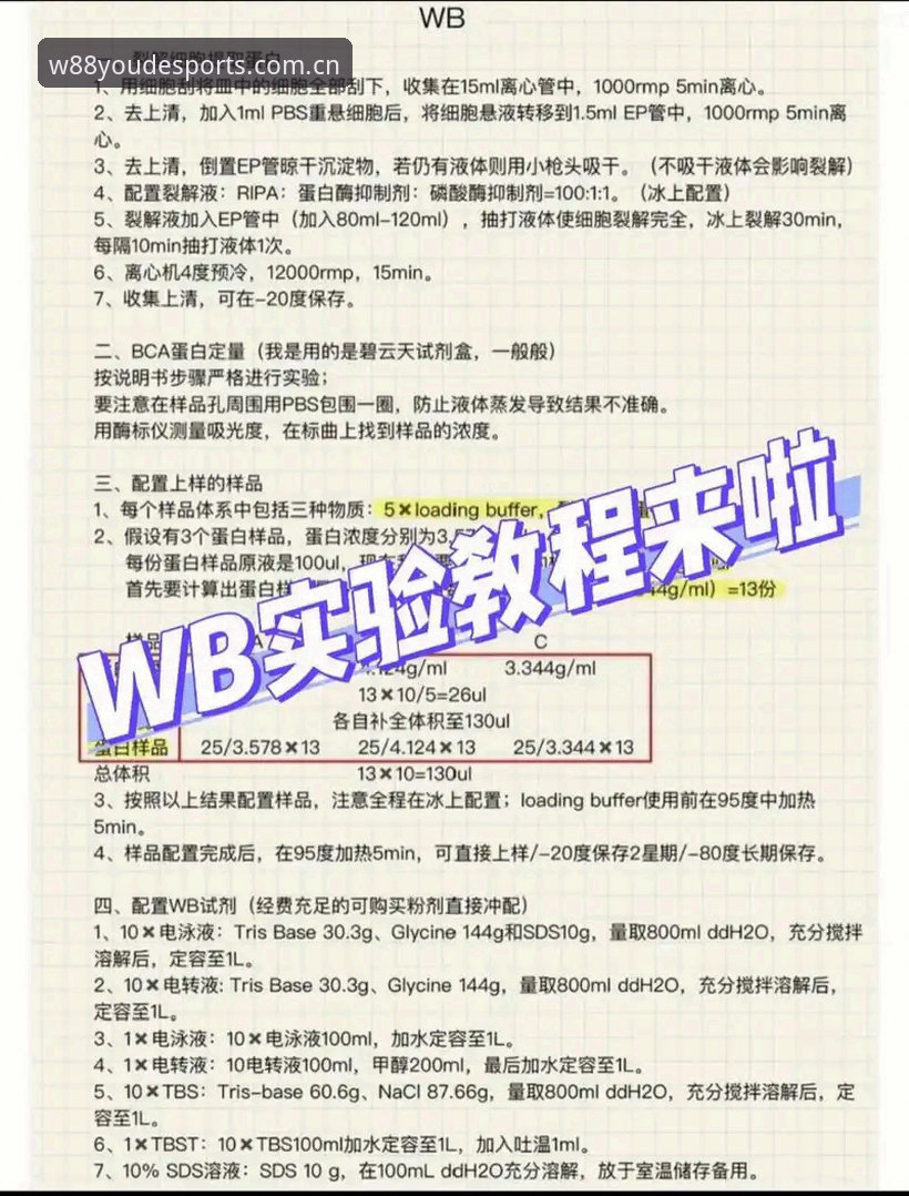 资深用户分享：W88YD最新注册必备的五个实战技巧与使用心得
